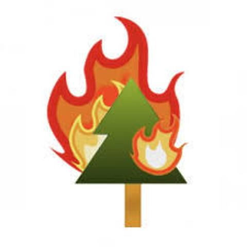 Declaration of maximum danger status for forest fires throughout the regional territory of Piedmont, effective July 21, 2022.